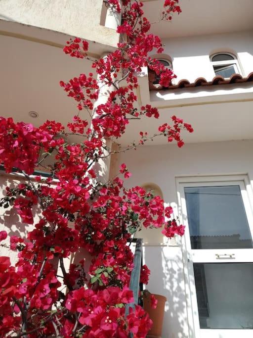 Apartamento Nea Makri'S Little Ireland Exterior foto